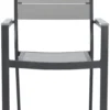 Veke Saarni Aintwood Tuoli Musta/harmaa
