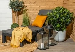 Keter Daytona Deluxe Aurinkotuoli Pehmusteella, Grafiitti -Veke kauppa Daytona deluxe aurinkotuoli miljoossa musta web pete 8