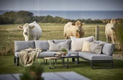 Hillerstorp Lindeby Sohvan Selkänoja Hiilenharmaa/harmaa -Veke kauppa lindeby hornsoffa 9900 9901 9902 miljo 01