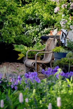 Hillerstorp Råå Rottinkituoli Harmaa 9 Hillerstorp Råå Rottinkituoli Harmaa -Veke kauppa raa 576550 miljo 07